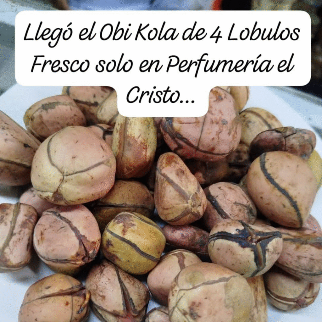 Producto_8