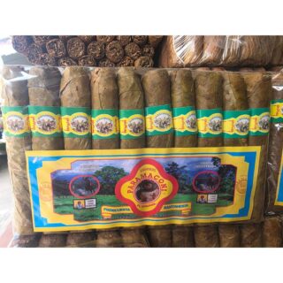 Tabaco Paramaconi